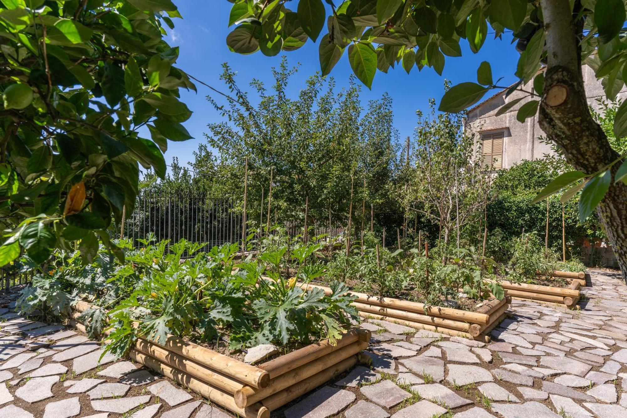 Villa Solatia Massa Lubrense Eksteriør bilde